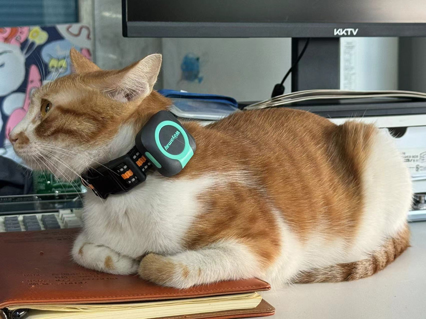 Smart GPS- & Sundhedstracker til Kæledyr - hold styr på dit kæledyrs helbred og sundhed