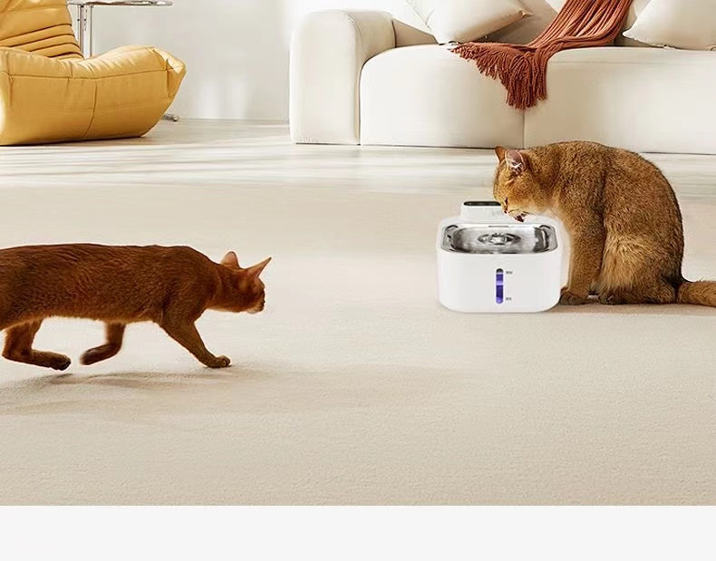 Smart Wireless Pet Water Fountain - Drikke automat