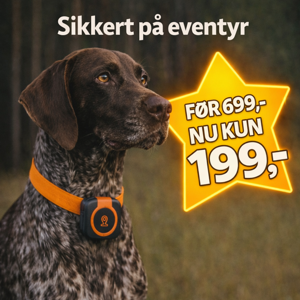 Pet Health Tracker – Sundhedstracker til Kæledyr (4×4 cm, Intet Abonnement)