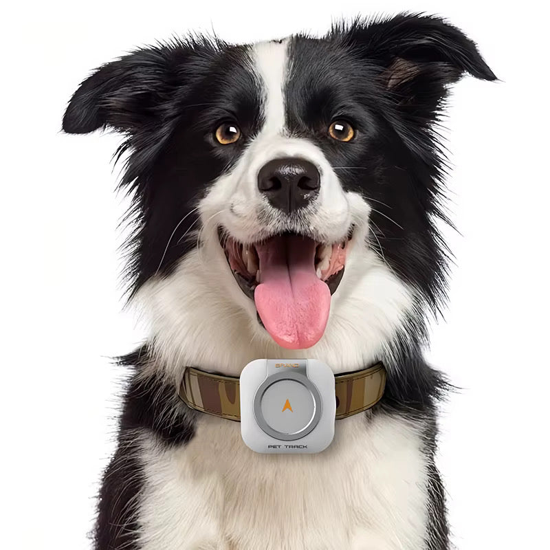 Smart GPS- & Sundhedstracker til Kæledyr - hold styr på dit kæledyrs helbred og sundhed