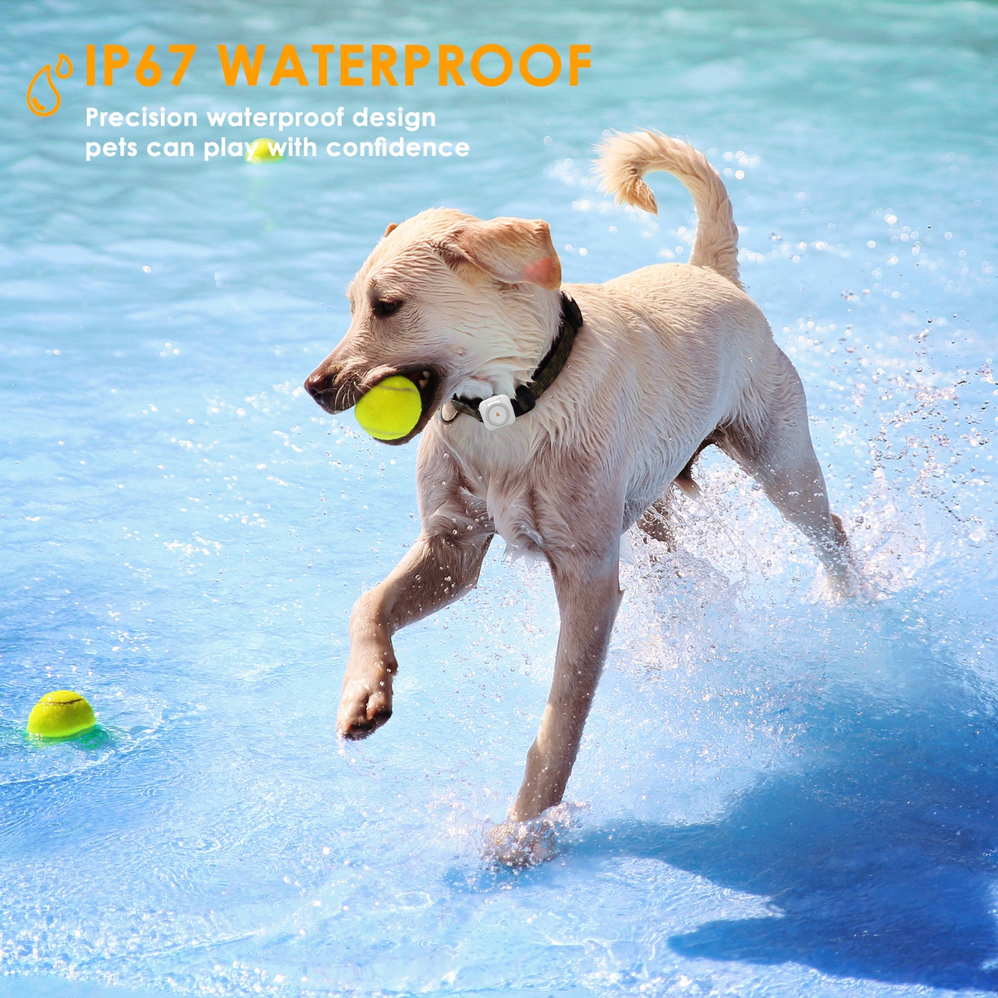 Smart GPS- & Sundhedstracker til Kæledyr - hold styr på dit kæledyrs helbred og sundhed